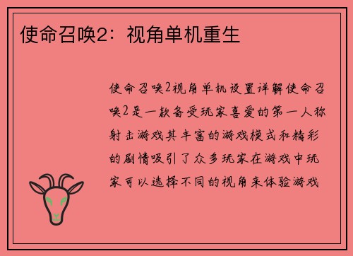 使命召唤2：视角单机重生